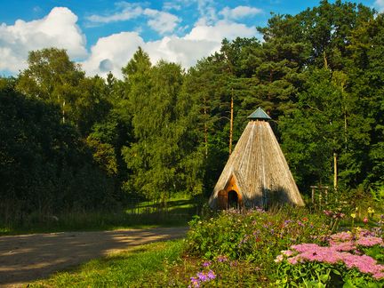 Holzhütte zwischen Wald und Wiese